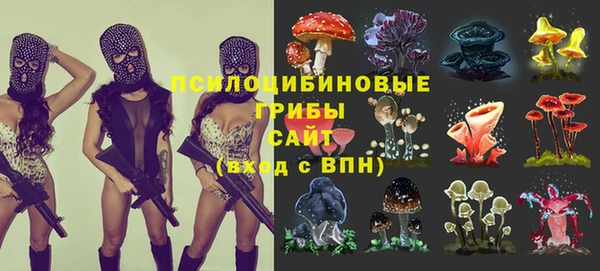 эйфоретик Баксан
