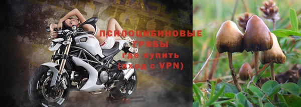 эйфоретик Баксан