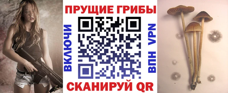 купить  цена  Лахденпохья  Псилоцибиновые грибы прущие грибы 